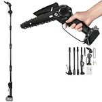 2 In 1 Cordless 6" Chainsaw Pole Tr