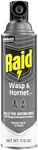 Raid Wasp & Hornet Killer 33, Outdo