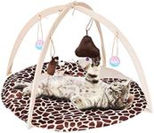 PetBonus Cat Play Mat, Cat Activity Center with Interactive Hanging Toys, Bell Ball, Mice Toy for Cats, Kitten, Kitty (Giraffe)