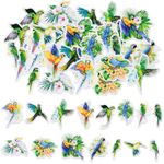 Adorable Parrot Stickers,30Pcs PET Transparent Parrot Stickers for Scrapbooking Journal Laptop Phone Case Guitar Skateboard Helmet Bike Car,15 Designs