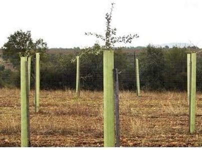 Protector de arbol tronco perforado y biselado de 150 cm. de altura.. Pack 4 unidades Protección contra fauna cinegética de gran tamaño.