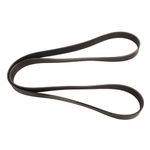 Continental Elite 4080948 Poly-V/Serpentine Belt