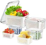 PROSFIA Pack 4 Fruit Fresh Produce Protector, Grape Container for Fridge, Fruit Saver Lettuce Container with Drain Colanders, Partitioned Salad Container, Refrigerator Organizer for Lettuce Berry Food