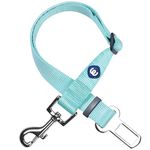 Blueberry Pet Essentials Classic Dog Seat Belt Tether for Dogs Cats, Mint Blue, Durable Safety Car Vehicle Seatbelts Leads Use with Harness