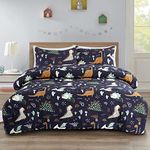 HollyHOME 2 Piece Twin Size Bedding Comforter Sets for Boys, Cute Dinosaur Bedding Set, 66”x 86”