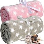 LeerKing 1 Pack 2 Dog Blanket lightweight Cat Flannel Throw Bedding fluffy Couch Crate Lining for Pet Puppy Small Animals, 30"x40"