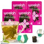 Woolah Rare Assam Green Tea with Strawberry, Organic BAGLESS Tea Dip (4 Packs = 60 Dips /120 Cups) 100% PLASTIC Free, Natural Whole Leaf, High EGCG anti-oxidants supports WEIGHT MANAGEMENT, Heart Health & Repairs skin damage due to UV exposure.