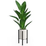 Mutool Adjustable Plant Stand, Metal Plant Stands Indoor Outdoor, Modern Plant Holders Plant Rack, Flower Stand Holder for 8-10 in Plant Pot, Black