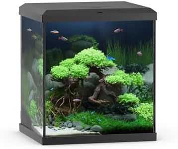 JUWEL Aqua