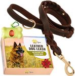 ADITYNA - Double Handle Leather Dog