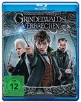 Phantastische Tierwesen - Grindelwalds Verbrechen (+ Blu-Ray Extended Cut) [2018]