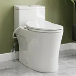 HOROW T0338W One Piece Toilet with 