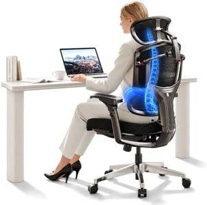 FLEXISPOT ErgoX-Pro Premium Ergonomic Office Chair Obsidian-FT