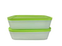 Tupperware Freezer Container 1.0 L Green/White Flat (2) Ice Crystal Ice Crystal