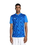 PUMA teamGLORY Jersey