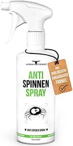 Spinnenspr