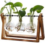 XXXFLOWER Plant Terrarium with Wood