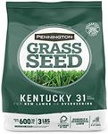 Pennington Kentucky 31 Tall Fescue 