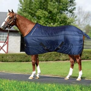Horses, Ma