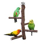 Tree Stand For Parakeets