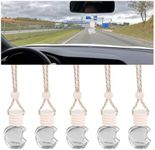 TSUGAMI 5PCS Hanging Car Air Freshe