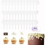 Flunyina Blank Acrylic Cupcake Topp
