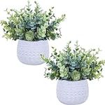 Winlyn Set of 2 Small Artificial Po
