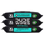 DUDE Wipes Flushable Wet Wipes Dispenser, Mint Chill, 48 Count (Pack of 3) Scented Wet Wipes with Vitamin-E, Aloe, Eucalyptus & Tea Tree Oils for at-Home Use, Septic and Sewer Safe