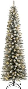 WeRChristm