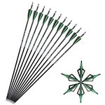 SHARROW 12pcs Archery Carbon Arrows 30 inch Hunting Target Arrows 500 Spine with Replace Broadhead for Compound and Recurve Bow (Green+ Broadhead)