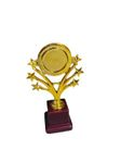 Metallic Fiber 6 Star Golden Winning Trophy/Award for Winners (24.50)