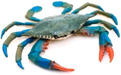 Blue Crab TiKi Bar Nursery - Plastic Crab Toy Bath Toys - Realistic Science Educational Ocean Sea Animals Figures - Creature Toys Gift for Birthday Decorations Pool Toys Ocean Toys