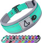 Joytale Neoprene Padded Dog Collars for Medium Dogs, 11 Colors, Reflective Wide Pet Collars with Durable Metal Belt Buckle, Adjustable Heavy Duty Nylon Dog Collar, Teal