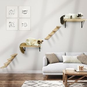 Cat Wall F