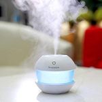 Mist Diffuser