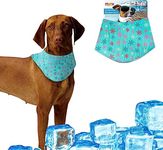 MAX Chill Out Dog Ice Bandana, Instant Cooling Pet Bandana, Breathable Scarf Dog Cat Ice Collar for Summer (L)