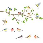 DECOWALL WL2-1804N Garden Birds on Tree Branch Wall Stickers Flying Bird Decals Removable Nursery Bedroom Living Room Art Home Decor Decoration