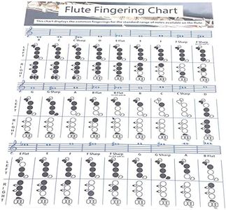 Flute Fingering Chord Chart,Wind Instrument Accessories for Beginner Student Practice Teaching Aids (Flute Fingering Table Small (28 * 21cm))