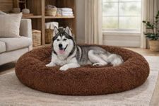 ZEXSAZONE Summer Comfortable Durable Both Sides usable and Washable Pet Bed | Cat Bed | Puppy Bed | Dog Bed | Medium Dog Bed for Cats Puppies (Coffee, Large)