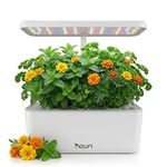 Nouri Hydroponics Growing System, 7 pod Smart Indoor Herb Garden Kit with LED Grow Lights, Hydroponic Herb Garden Indoor for Plant Lovers, Gardeners, Kitchen, Basil Seeds Included