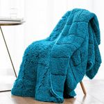 Wemore Shaggy Long Fur Faux Fur Weighted Blanket, Cozy and Fluffy Plush Sherpa Long Hair Blanket for Adult 20lbs, Fluffy Fuzzy Sherpa Reverse Heavy Blanket for Bed, Couch, Teal Green, 60 x 80 Inches