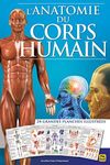 L'anatomie du corps humain: 24 gran