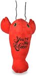 Friends the TV Show Dog Toy Lobster Plush Squeaker | Friends You’re My Lobster Plush Squeaker Pet Toy | Friends Show Toy for Dogs Stuffed Animal 6 inch, Love Themed Dog Toys