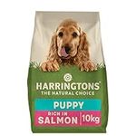 Harringtons Complete Dry Puppy Food Salmon & Rice 10kg - Made with All Natural Ingredients