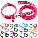 Doggie Style Store Small Dog Puppy Pet Cat Kitten Collar and Lead Set Pawprint Design Nylon Adjustable with Bell Leash Pink Magenta Rose