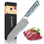 7 Inch Santoku Knife Damascus Steel Kitchen Chef Knife Razor Sharp Meat Cleaver with Ergonomic Natural Resin Handle Cooking Knife,Gift Box