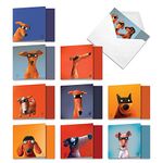 The Best Card Company - 10 Blank Dog Cards Assorted (4 x 5.12 Inch) - Adorable Boxed Animal Note Cards for All Occasions - Masked Hounds MQ4975OCB-B1x10