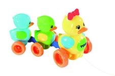 Funskool Tomy Quack Pull Along Duck Toyset for 10+ Months Children