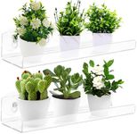 Skewo 12 Inch Acrylic Window Sill Extender for Window Boxes, 2 Pack Window Shelf for Plants, Suction Cup Shelf for Plants Window, for Succulent Planters, Herb Pots, Indoor Plants (12IN-2Pcs)