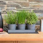 CKB LTD Set of 3 Metal Herb Plant Pots with Saucer Drip Tray Traditional Indoor Windowsill Coloured Planter Box for The Kitchen Grow Your Own Herbs for Cooking (Charcoal Grey)